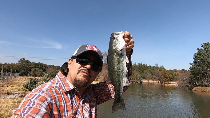 Captura de pantalla (736).png